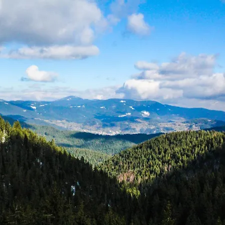 Pine Hills شقة فندقية