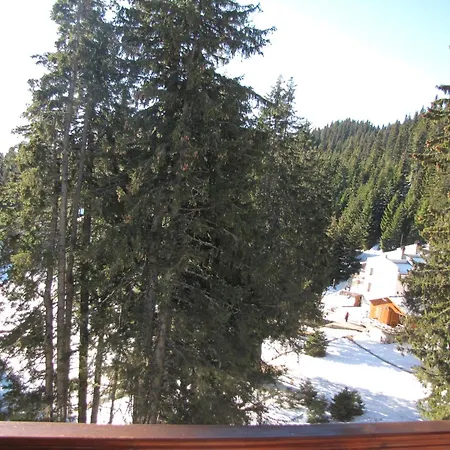 Aparthotel Pine Hills Pamporovo