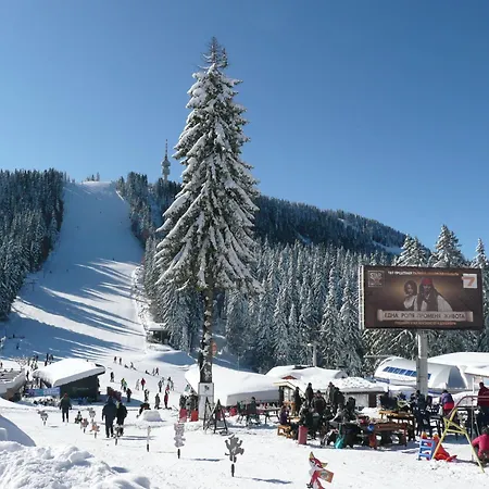 Aparthotel Pine Hills Pamporovo
