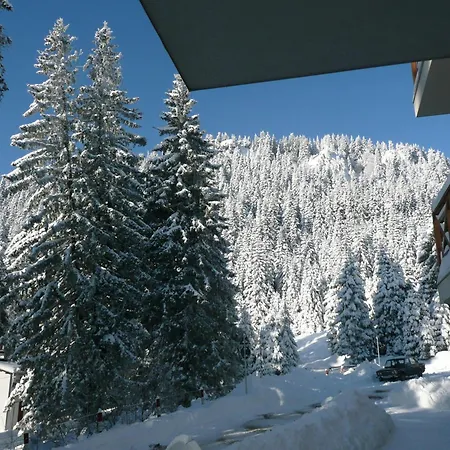 Pine Hills 3*