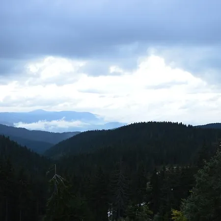 Pine Hills 3* Pamporovo