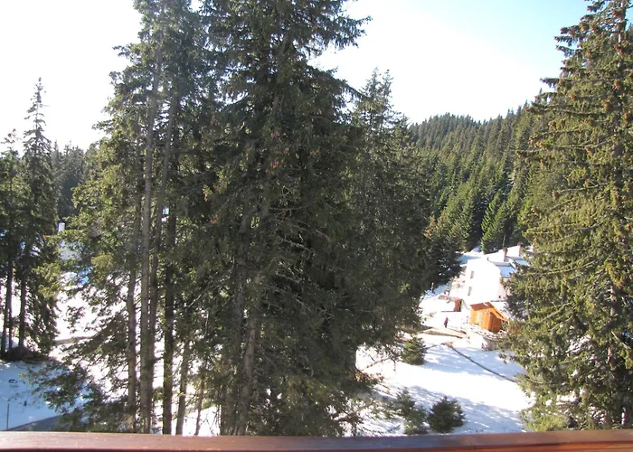 Aparthotel Pine Hills Pamporovo