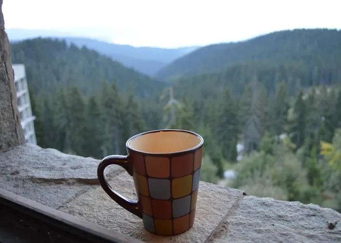 Aparthotel Pine Hills